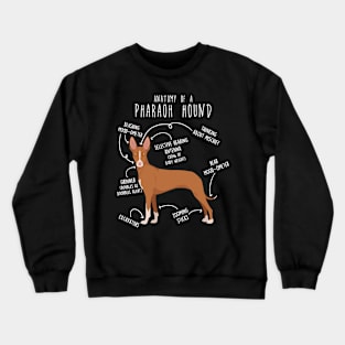 Pharaoh Hound Dog Anatomy Crewneck Sweatshirt